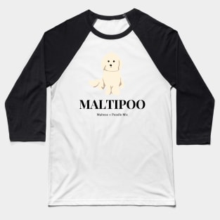 Maltipoo Explanation Baseball T-Shirt